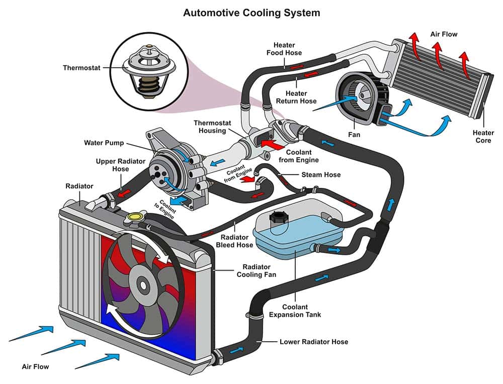 An infographic showing how a car’s cooling system works
